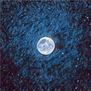 美女真人穿丝袜视频大全
